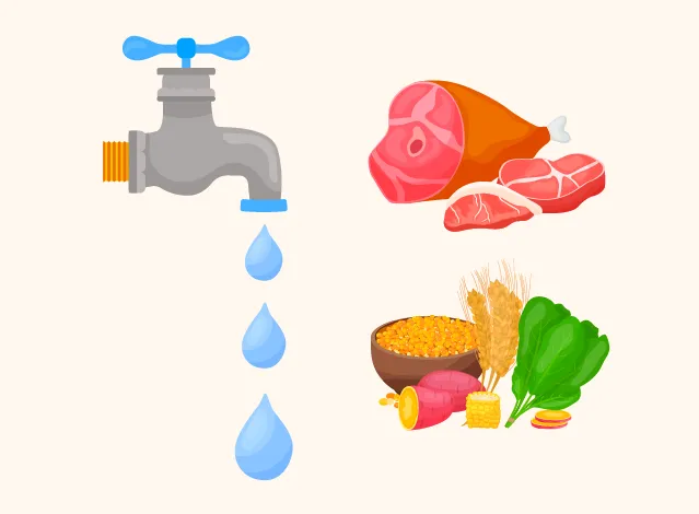 Un robinet qui s’égoutte, un kilo de viande, un bol de céréales accompagné d’un légume racine, de gerbes de blé et d’un légume-feuille.