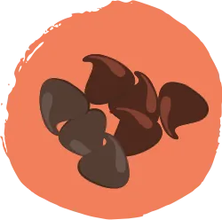 Des pépites de chocolat noir et de chocolat au lait.