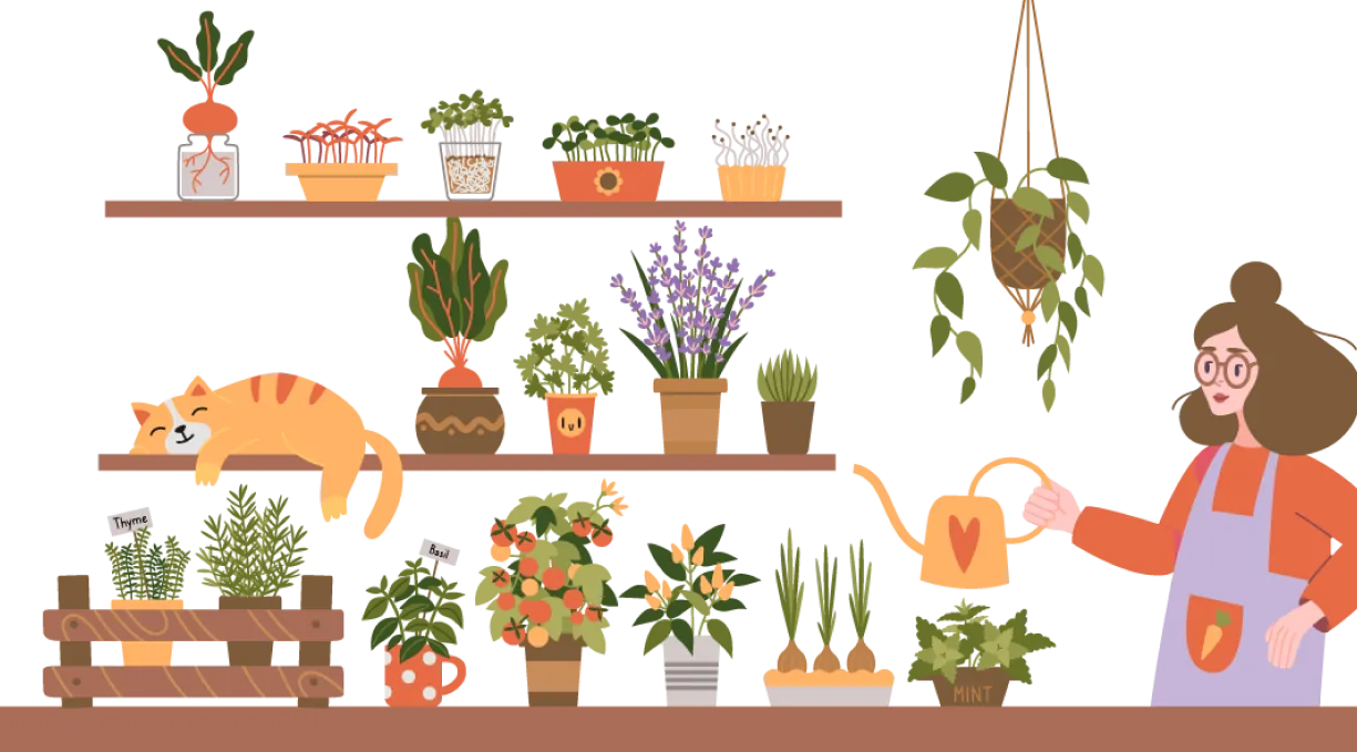 Une dame arrose des plantes, tandis qu'un chat dort paisiblement sur l'étagère du milieu.