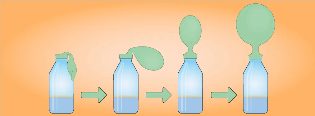 Quatre bouteilles avec un ballon enfilé au goulot. Sur la première, le ballon est mou. Sur la deuxième, il est légèrement gonflé. Sur la troisième, il est moyennement gonflé et tendu. Sur la quatrième, il est bien rond et tendu.