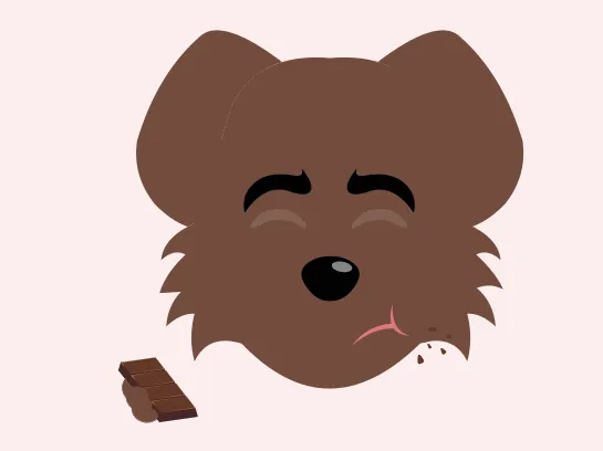 Un chien brun qui mange du chocolat.