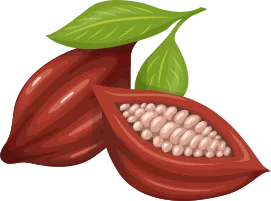 Deux fèves de cacao.