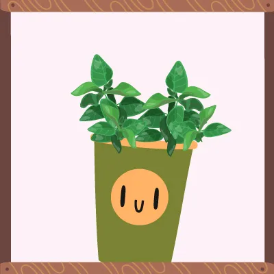 Une plante verte à feuilles larges et plates.