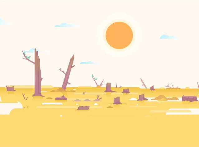 Territoire ayant subi la déforestation.